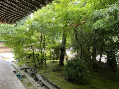 2021.7月 また大阪に泊まる旅　