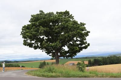 2021年夏　北海道の旅～美瑛でサイクリング～