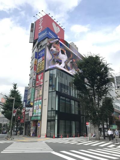 2021年7月15日　東京サイクリング　新宿・豊島・文京