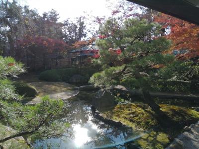 京都 上京 京都府公館庭園(Kyoto Prefectural Citizen' Hall Gaden, Kyoto, JP)