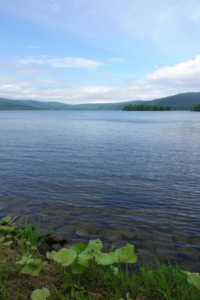 【２泊３日　蝦夷梅雨の釧路　ひとり旅】北国の大湿原と湖巡りの巻　３日目