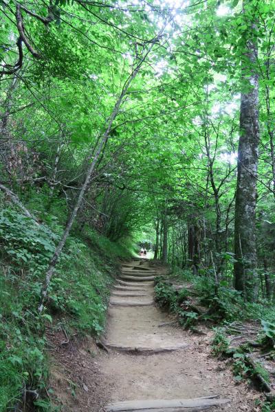 Great Smoky Mountains グレイトスモーキーマウンテン国立公園 トレイル歩き（２）