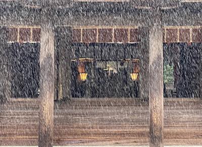 やけのやんぱち南国の雨　《　宮崎県・宮崎神宮ほか　》