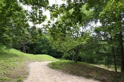 初夏の信州旅行♪　Vol.58 ☆ザ・ひらまつ・軽井沢御代田：美しい森の優雅な散歩♪