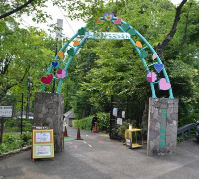 ウォンバットを見に五月山動物園へ