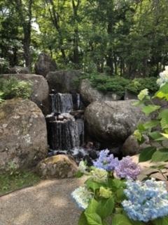 夏の玉泉館跡地公園