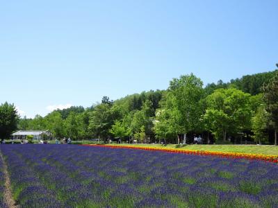 2021北海道 美瑛・富良野、千歳3泊の旅（ラビスタ富良野＆ANA千歳泊）2日目前編 [朝食～ファーム富田編]