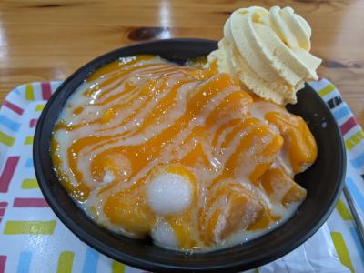 鶴橋の韓国料理店「アリの家」でユッケジャン～ふわりでピンス～延羽の湯で入浴