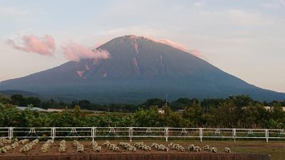 フリーきっぷだけで行く夏の道央②　憧れの羊蹄山を眺めに来た