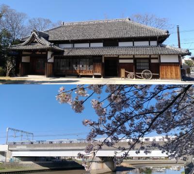 越谷・草加散歩 ～大間野町旧中村家住宅と綾瀬川桜並木