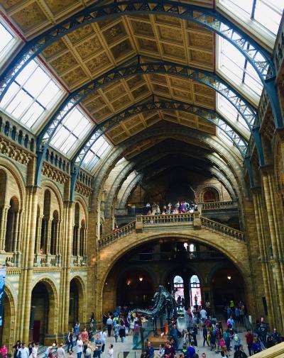 ☆ ヴィクトリア・アルバート博物館 &amp; 自然史博物館 ☆