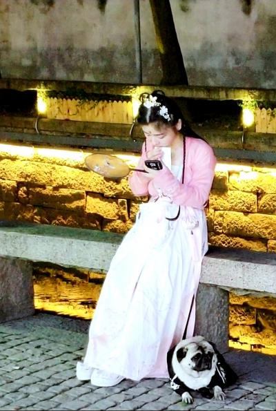 2019年の蘇州の旅 (9泊)__ Day 6 (平江路)