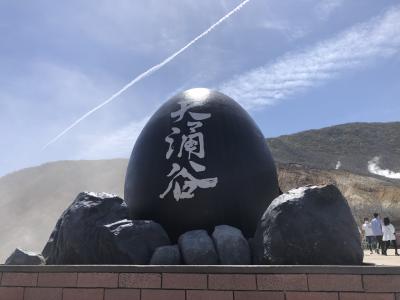 県をまたいだの旅行を控えてオクサマと県内のリコカツで話題の箱根へ