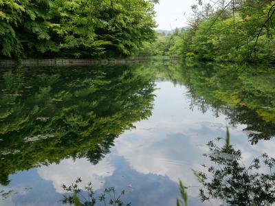 初夏の嬬恋 別荘滞在記（２）雲場池・碓氷峠