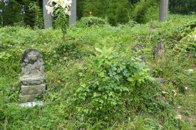 三十三観音を巡る(岩城・龍安寺)