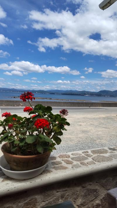 和歌山県白浜、円月島とイタリアンを楽しむ休日