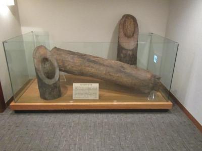 ワクチン非接種でGo!! 新型コロナウイルスの安全性に挑む旅 そのⅡ