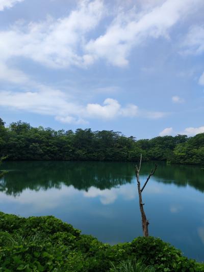 青森　十二湖・青池