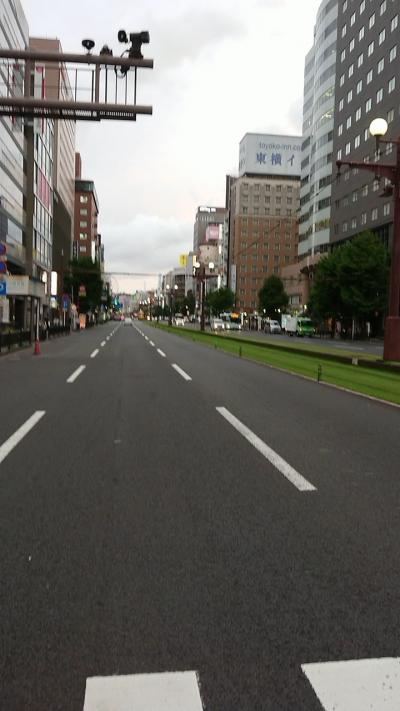 車で大移動鹿児島ホテルだけ