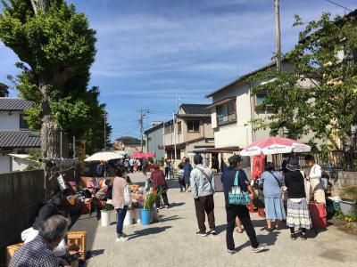 日本三大朝市の一つといわれる外房の漁村で開催される勝浦朝市へ。