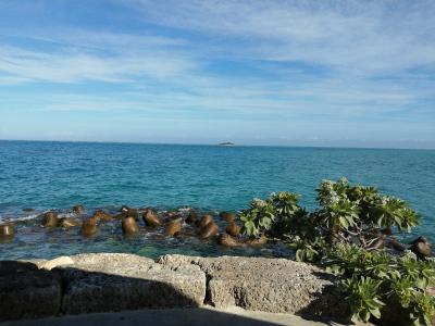 晴れの沖縄を満喫するため直前予約してみた結果、貸し切りで海水浴できた。