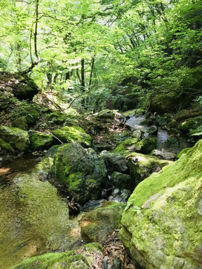 御岳山ハイキング