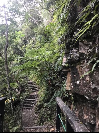 世界遺産登録になる　やんばる方面