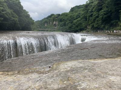 群馬日帰りバスツアー|田んぼアートに桃狩りとゆばすくいを堪能！「吹割の滝」に癒される