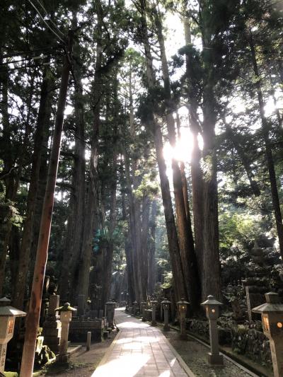 高野山宿坊一泊一人旅〈1日目：天空、奥之院、不動院〉