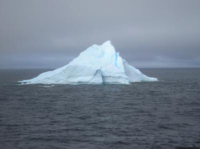 南半球一周、南極海，　Whale Watching