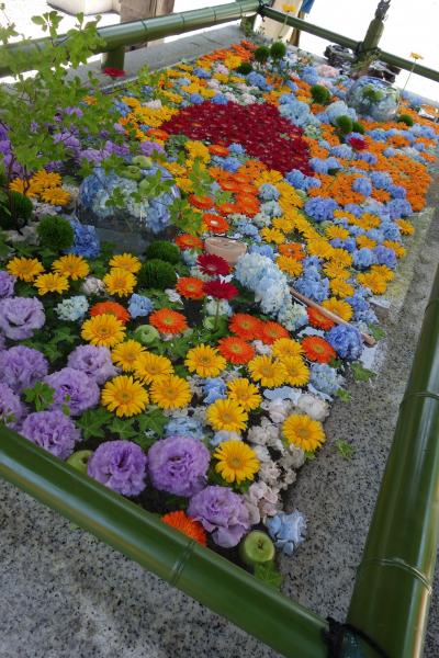 20210725-3 小樽 住吉神社の花手水