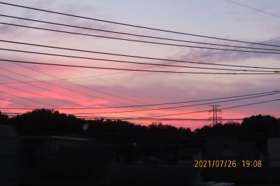 ふじみ野市から見られた美しい夕焼け