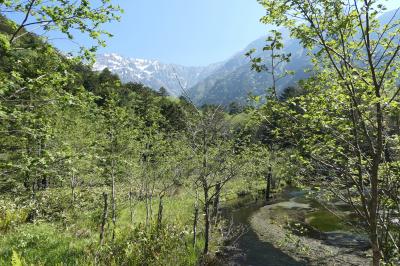 初夏の信州旅行♪　Vol.103 ☆上高地：明神池コースの優雅なハイキング　美しい清流・湿地・山岳♪