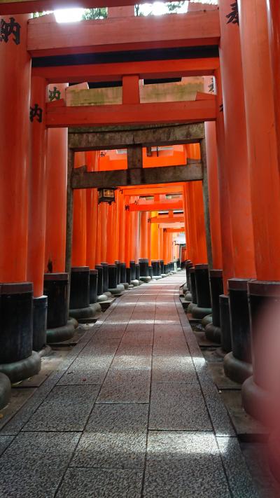 梅雨の京都・2