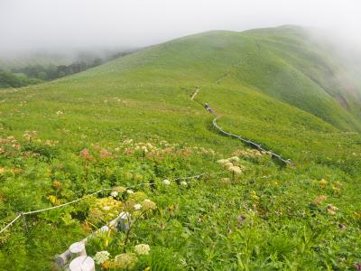 See you again Mt. RISHIRI 利尻・礼文・稚内の旅②【お花畑の桃岩展望コーストレッキングに大興奮！礼文編♪】