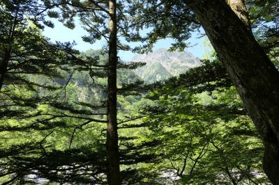 初夏の信州旅行♪　Vol.109 ☆上高地：明神池コースの優雅なハイキング　美しい清流・湿地・山岳♪