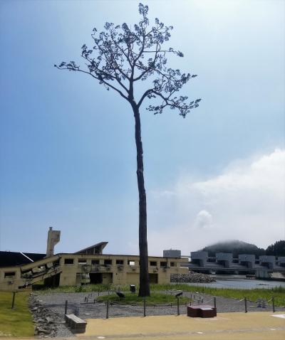 三陸海岸ドライブ　その③　釜石～陸前高田～石巻