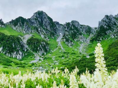 【二泊三日】標高2,612メートル！絶景の千畳敷カールと八ヶ岳で過ごす夏休み