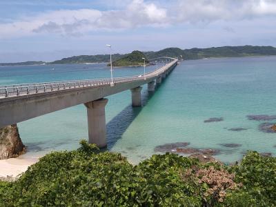 はまゆう咲く真夏の角島ドライブ～小野田市「花の海」の向日葵～