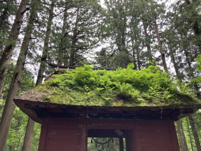 参拝&#12316;戸隠神社&#12316;