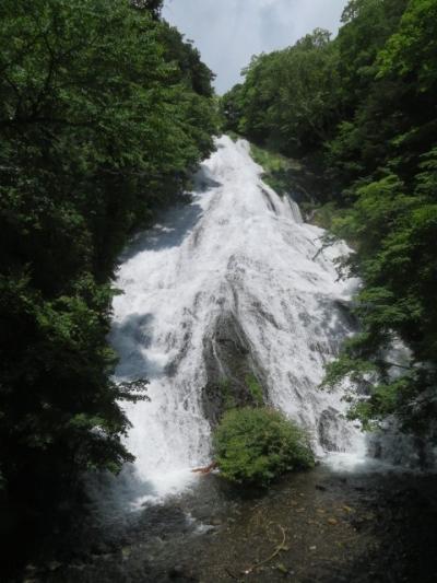 日光・戦場ヶ原の自然研究路（赤沼・湯滝間）を歩きました