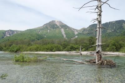 初夏の信州旅行♪　Vol.141 ☆上高地：田代池・大正池ハイキング　立ち枯れの木と大正池♪