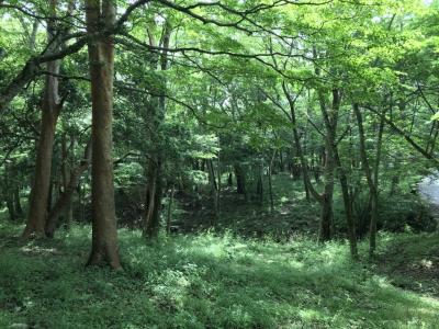 箱根の静かな旅（ポーラ美術館と山のホテルを中心に）