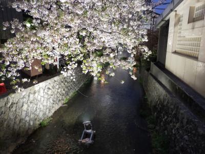 ほんわりあったかい京都へと(Part 5. 夜ラウンド、始動)