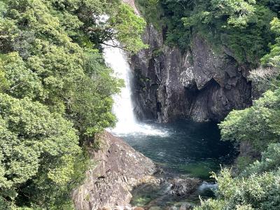 7歳子連れ ペーパードライバーの屋久島ネイチャーツアー  Day4 滝を探して迷子に 帰りは個室で楽々フェリー旅