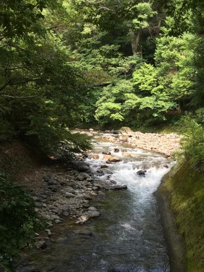 特等席で見る諏訪湖の花火！