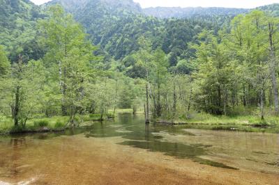 初夏の信州旅行♪　Vol.147 ☆上高地：田代池・大正池ハイキング　煌めく初夏の田代池♪