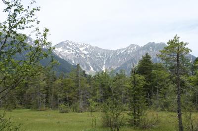 初夏の信州旅行♪　Vol.148 ☆上高地：田代池・大正池ハイキング　美しい林間コース♪