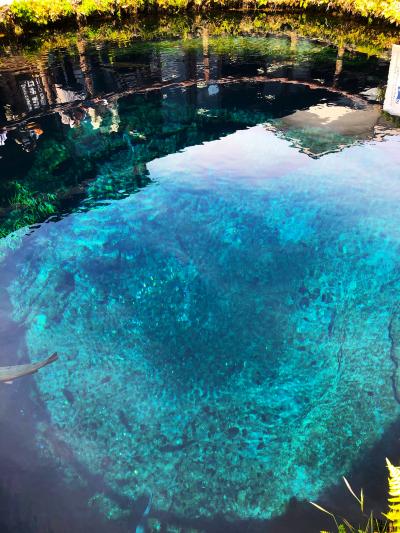 青、蒼、碧~。忍野八海