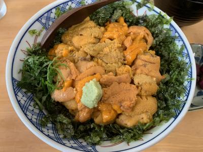 初めての島根旅行　その7　土砂降りの中ウニ丼食べに日御碕へ行ったけど現金使えなくて大ピンチ！